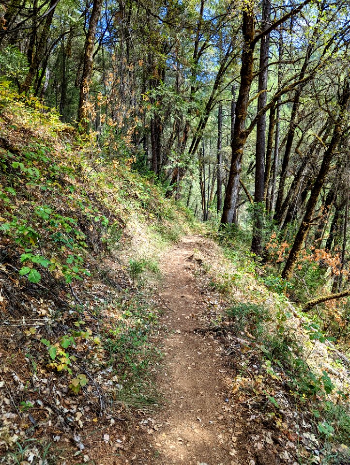 South Yuba National Trail photo