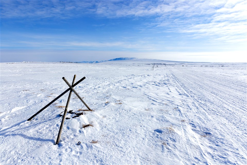 Winter trail markers. photo