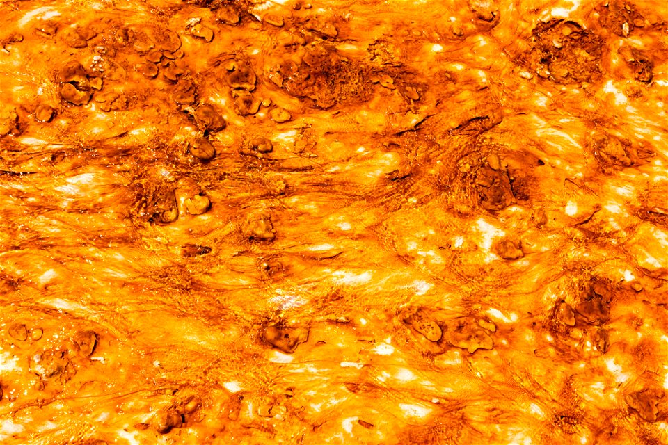 Bacterial mat at Grand Prismatic
