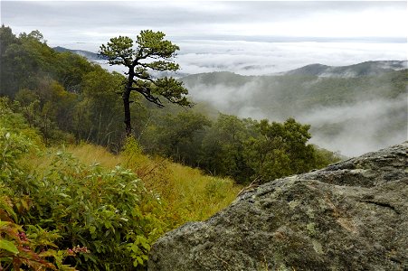 Misty Mountain Vista photo