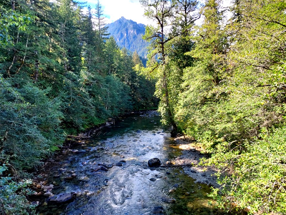 Sauk River near Bedal Campground, Mt. Baker-Snoqualmie National Forest. Photo by Anne Vassar Sept. 13, 2021.