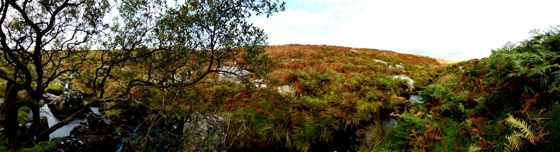 IMG_20220920_140548 Plym Ford, Dartmoor National Park , Devon , UK.  Nokia Panoramic Photo , 20th Sept 2022