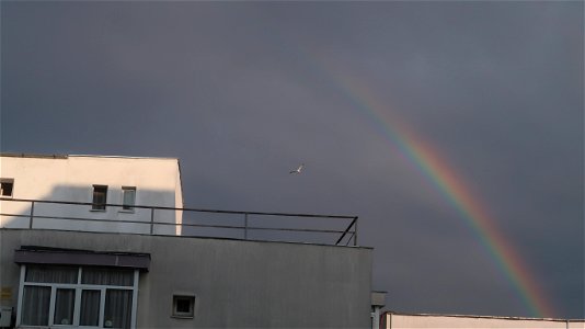 rainbow in abrud str (39) photo