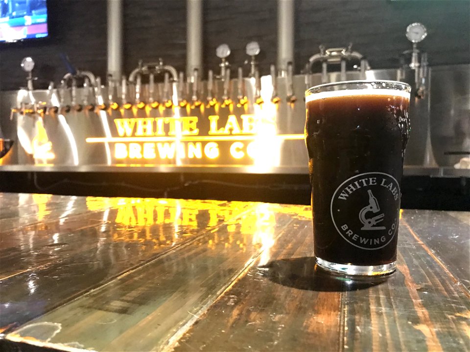 Pasteur Porter