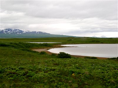 Tundra and lake photo
