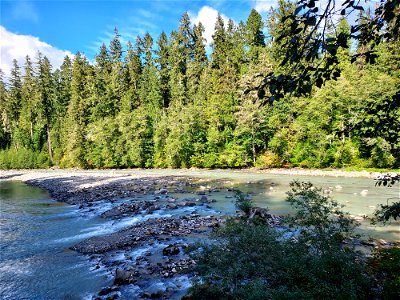 Sauk River from Clear Creek Bridge, Mt. Baker-Snoqualmie National Forest. Photo by Anne Vassar Sept. 13, 2021. photo