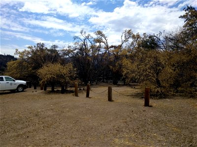 Homestead recreation vegetation
