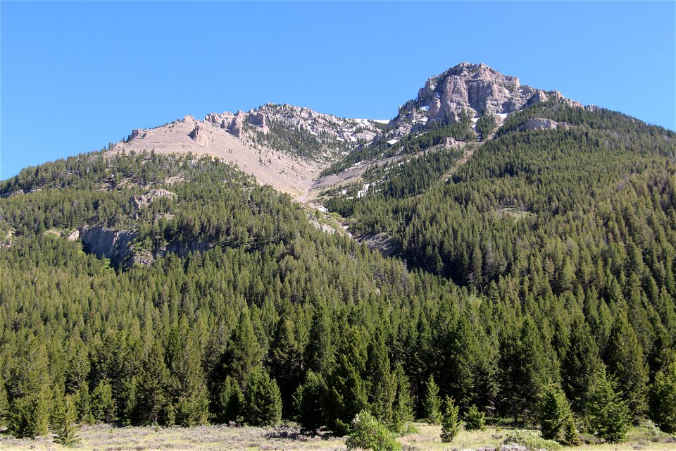 Conifer Mountain