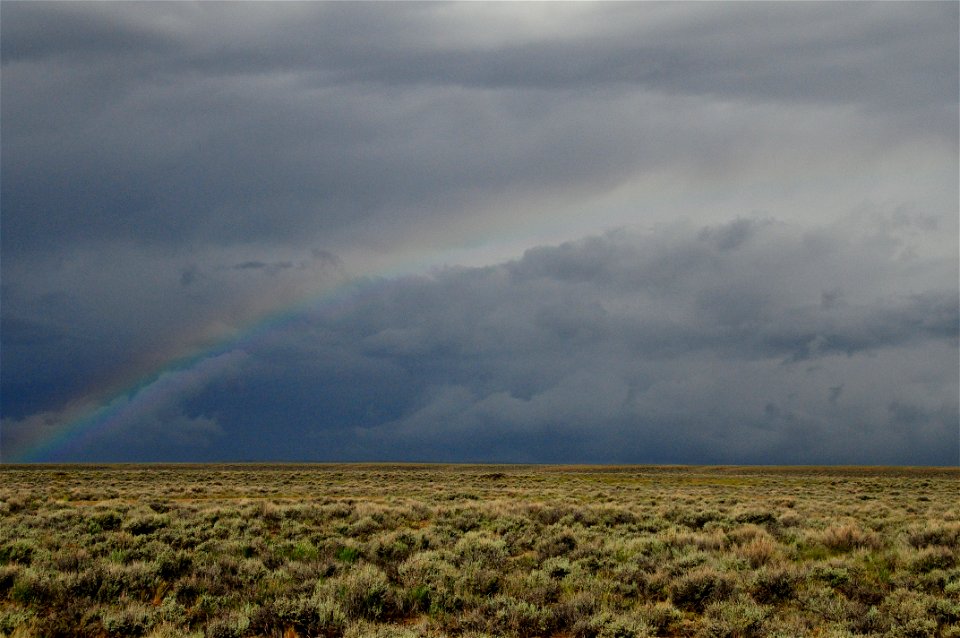 Rain in the sage steppe at Seedskadee National Wildlife Refuge Wyoming