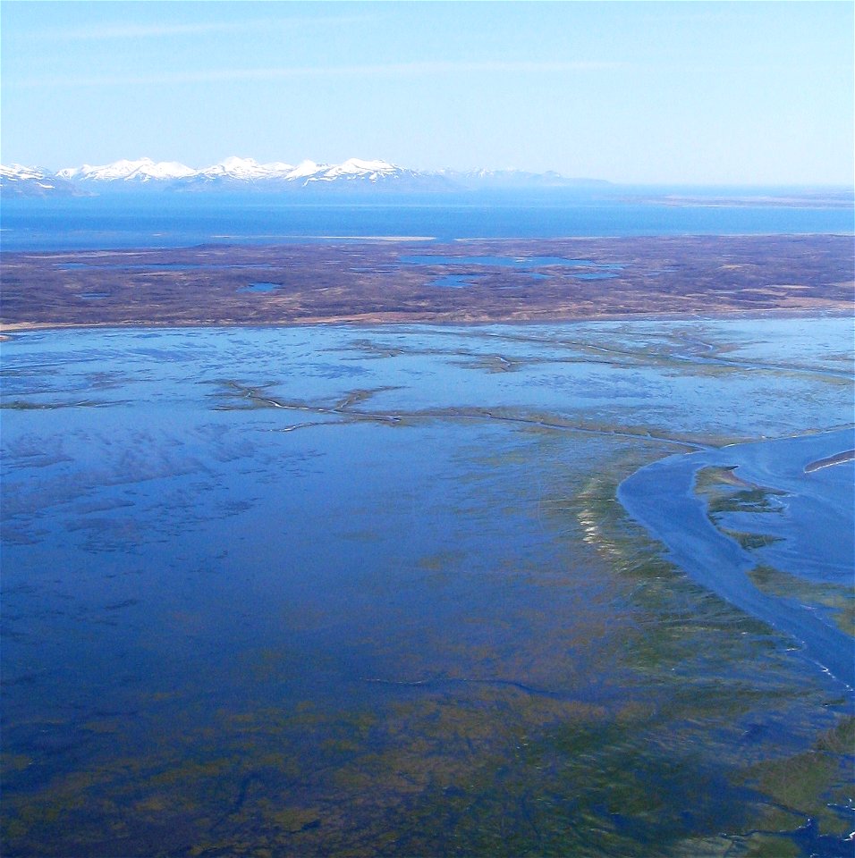 Izembek Isthmus photo