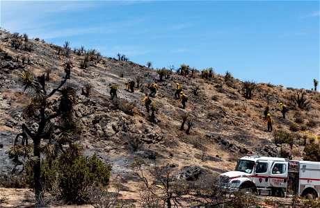 Firefighters Combing through a Burned Area of the Elk Fire to Address Hot Spots photo