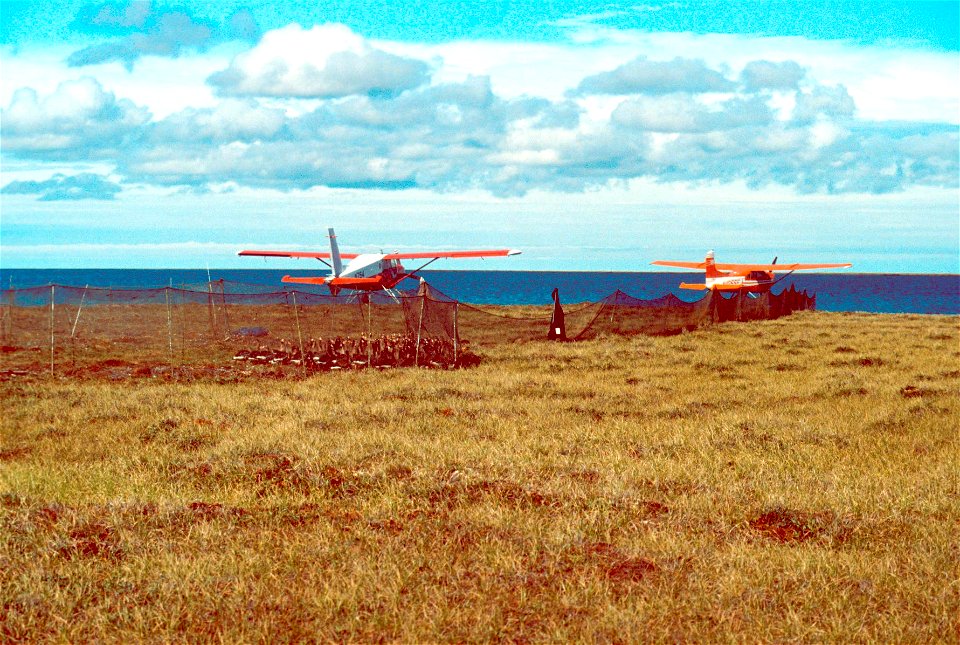 N754 Goose Banding