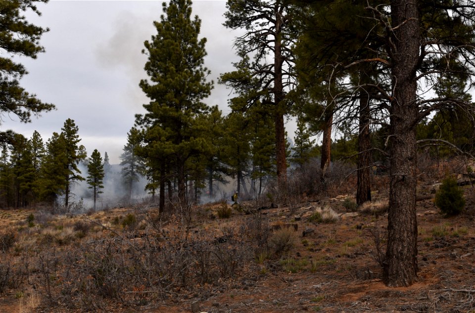 Ray Mesa Prescribed Burn Fall 2021 photo