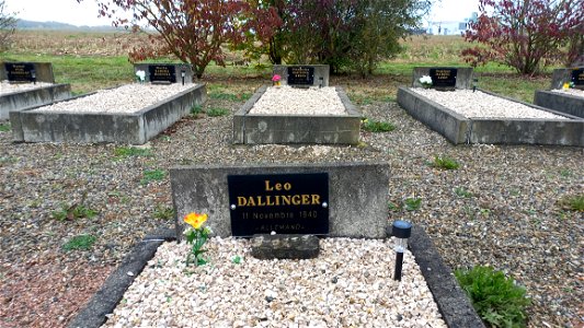 Cimetière du Camp du Vernet : Leo Dallinger