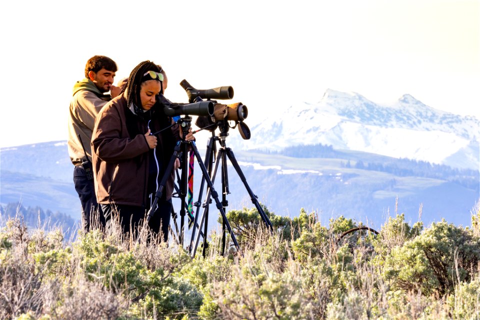 DOI Deputy Secretary Visit: watching wolves in Lamar Valley (4)