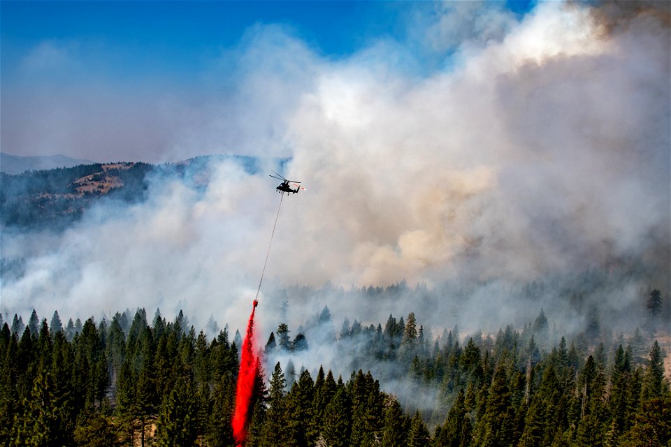 Ruby Mountain Hotshots