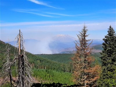 20220925-Siouxon Fire seen from the 58 road Camille Stephens photo