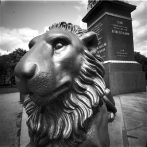 Lion and Obelisk - Pinhole photo