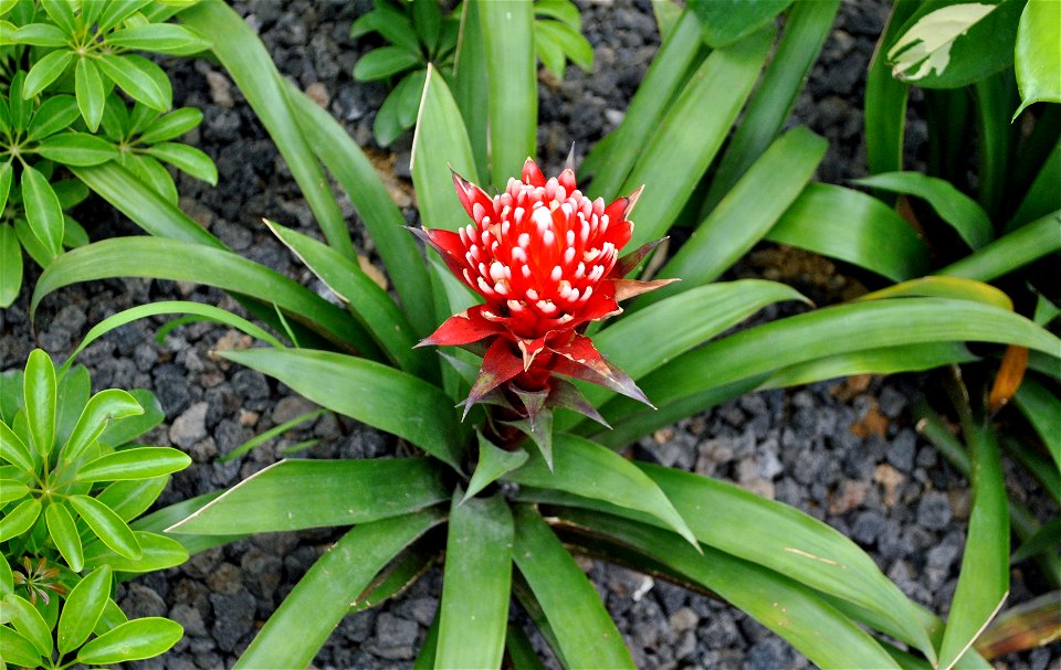 Suncheonman Bay National Garden Expo