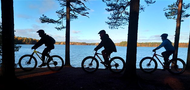 Hämeen Ilvesreitti Liesjärvi, Tammela