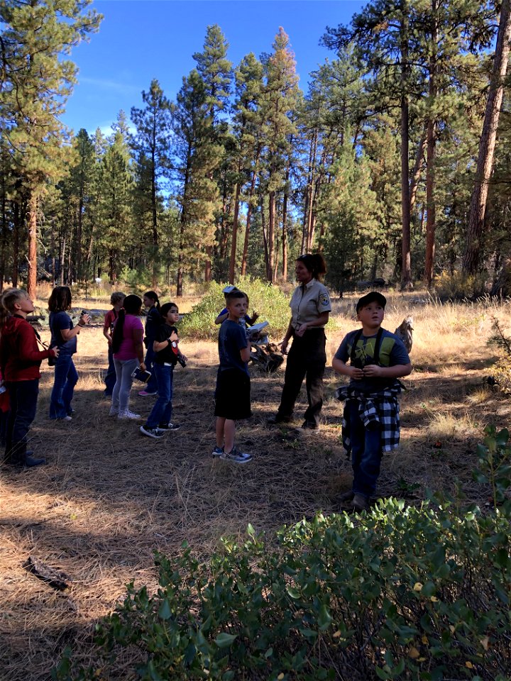 A group of kids learn about forest science at an Every Kid Outdoors Field Day