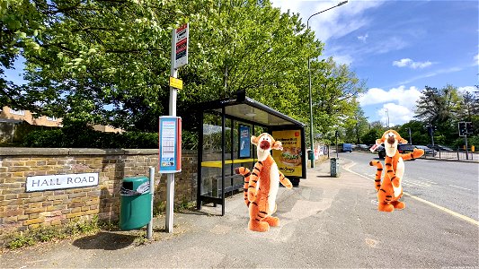 Waiting for the 71 Bus. London Road Aylesford.