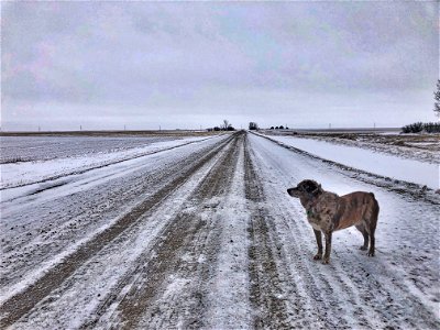 Down the Road is....