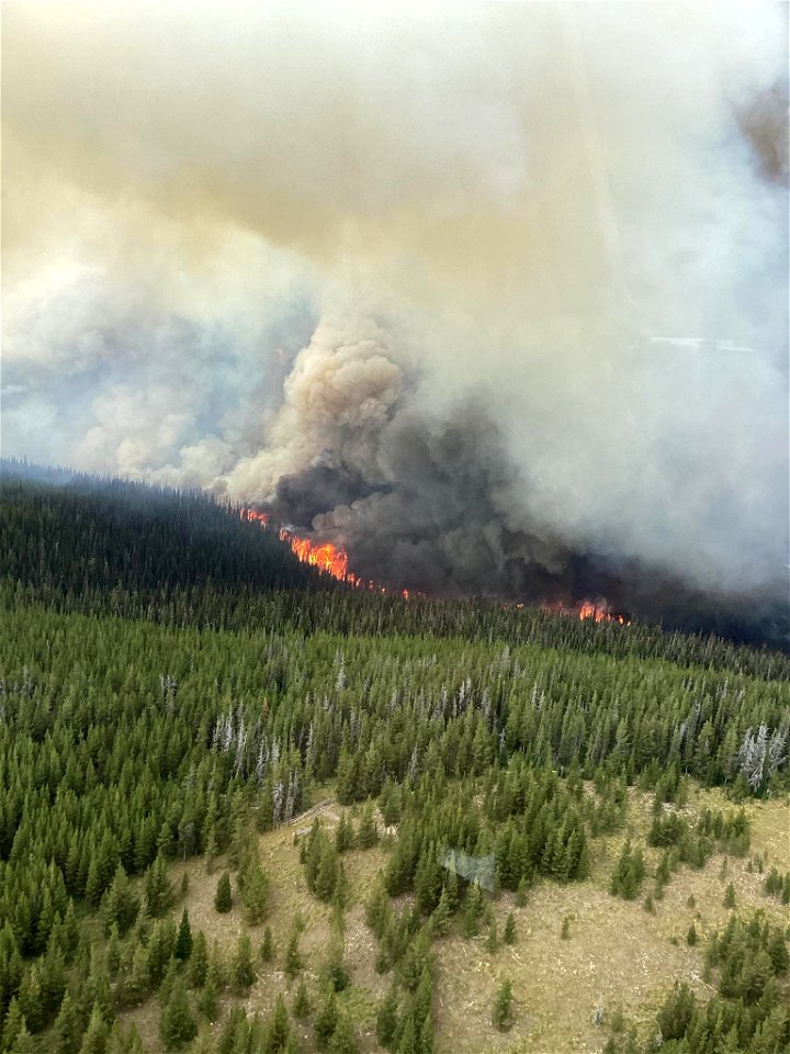 Williams Creek Fire photo