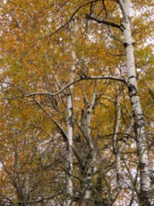 20211012-FS-Superior-SAR-010