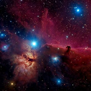 Alnitak, The Flame and Horsehead Nebula