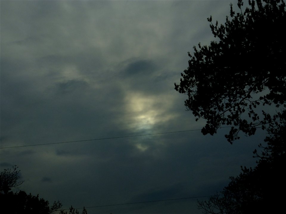 nori-intoarcere2015_0420_182107(1)