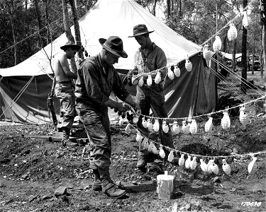 SC 170698 - Pvt. Floyd West, Pfc. Charles R. Cooper, and Pvt. Alex Williams are shown painting hand grenades. Australia. 27 October, 1942.