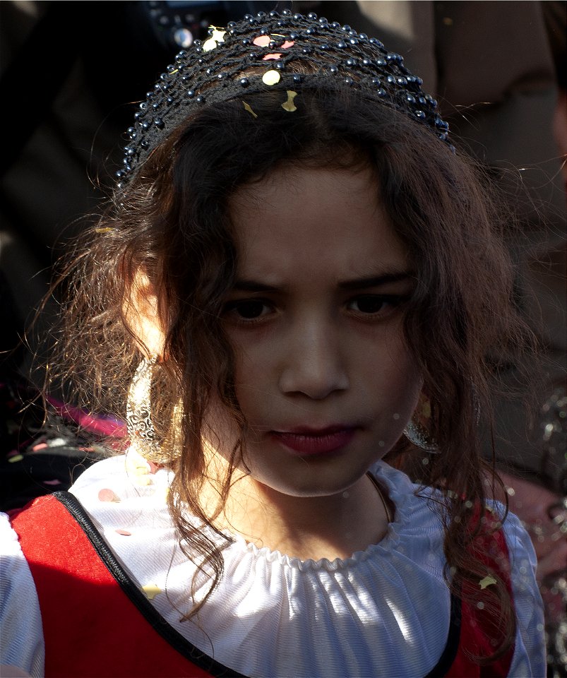 Carnaval de Berne photo