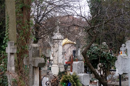 cimit_SfVineri2023_0225_140427