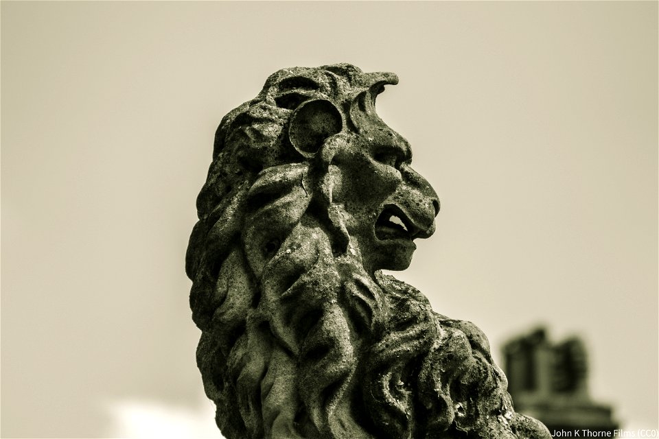 Maidstone Museum Lion
