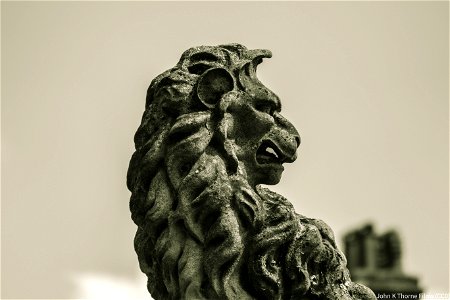 Maidstone Museum Lion photo