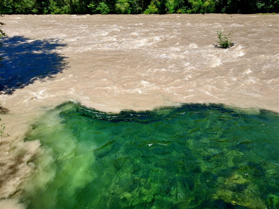 Sauk River at Clear Creek confluence, Mt. Baker-Snoqualmie National Forest. Photo by Anne Vassar June 28, 2021.