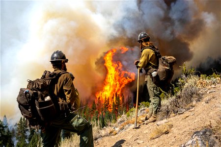 Ruby Mountain Hotshots photo