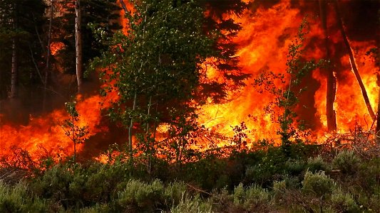 High Intensity Fire Video Montage photo