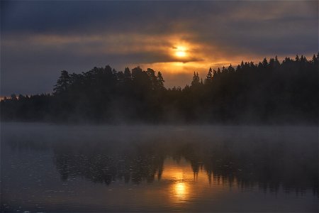 Liesjärven kansallispuisto, Tammela, Finland photo