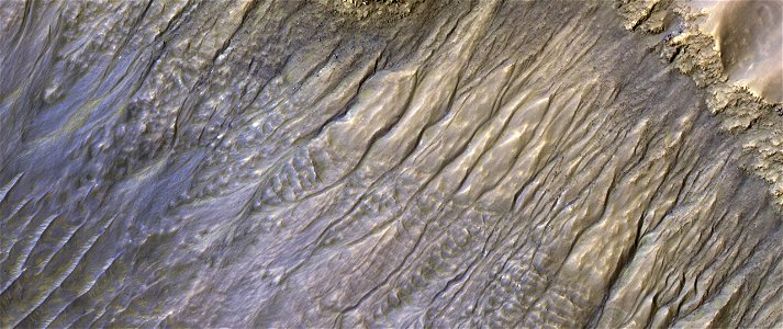Colorful Gullies in an Unnamed Crater photo