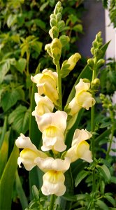 IMG_20220604_195958