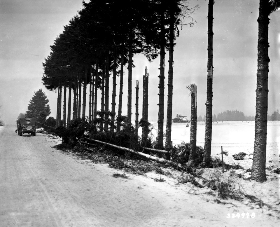 SC 329978 - Knocked out American tank of the 3rd Armored Division can be seen through the shell-shattered trees, in the Ardennes Forest Salient near Baclain, Belgium. 17 January, 1945.