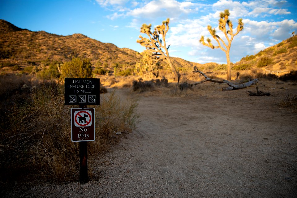 Hi View Nature Trail