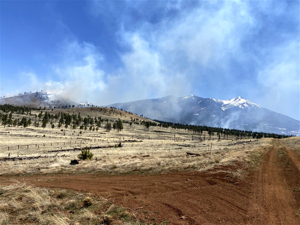 Horseshoe Prescribed Fire