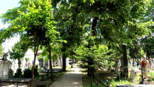 Bellu_cemetery (46)