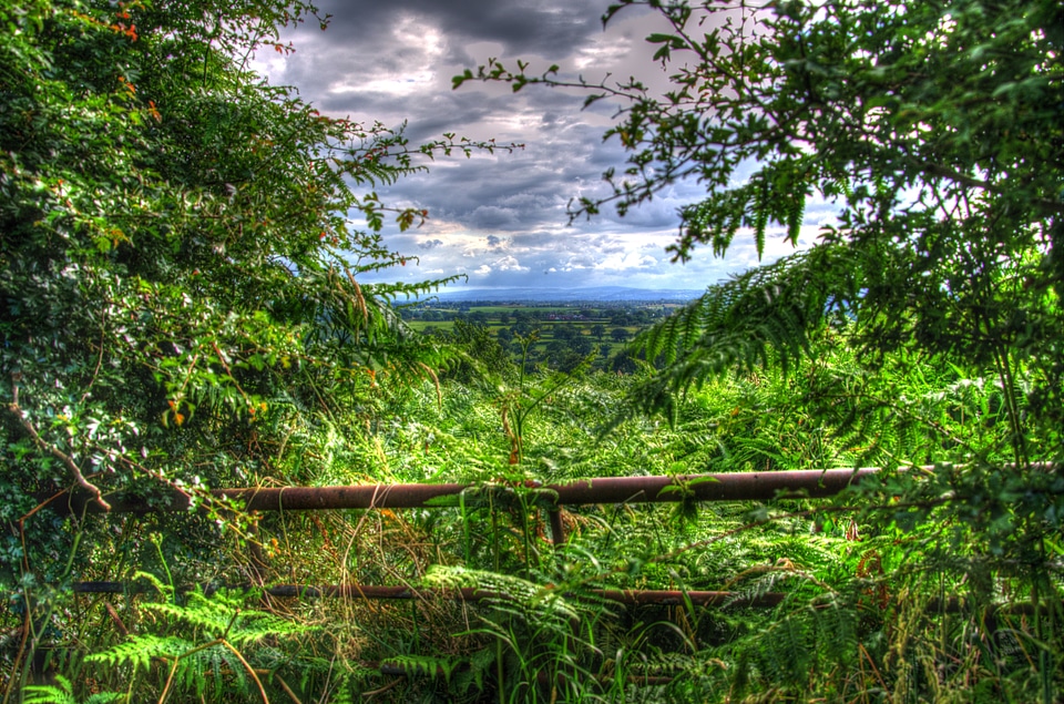 Country scenic natural