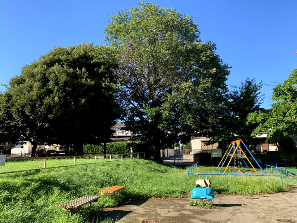 Ajisai Park in Takiyama, Higashikurume-shi