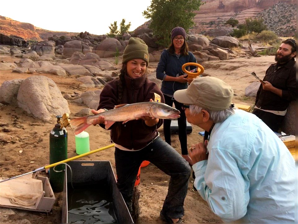 Colorado Pikeminnow Kisses photo