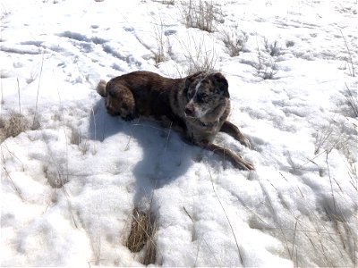 Snow Feels Good